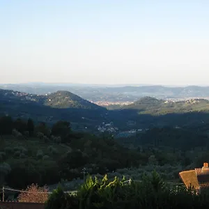 Dino Fiesole